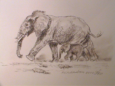 Bild Elefant mutter mit Kind von Uli Aschenborn